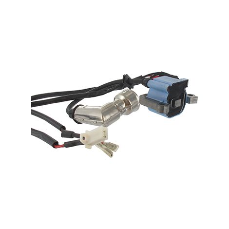 Zündspulenersatz 300191ce, 300472e für Viper-Motor, passend für Tarière Earthquake E43ce