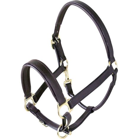 Pony, Nero: Cavezza Winner in cuoio di buona qualità imbottita in pelle con fibbie dorate
