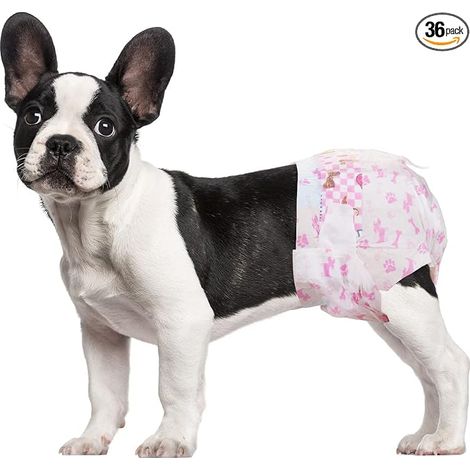 Super Diapers for Puppies, Size M (1/5)