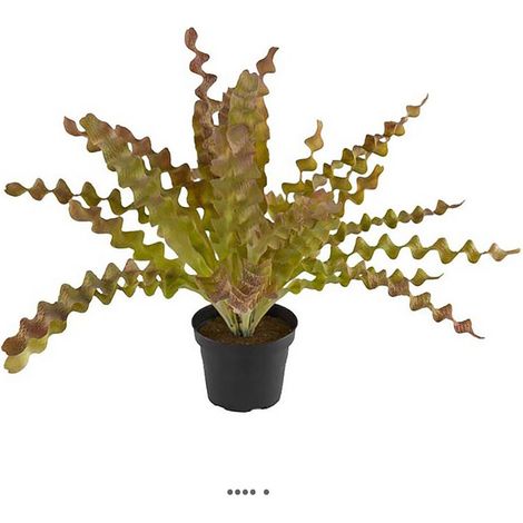 Fougère asplenium artificielle plastique en pot H 34 cm D 48 cm Crème vert - couleur: Crème vert (1/3)
