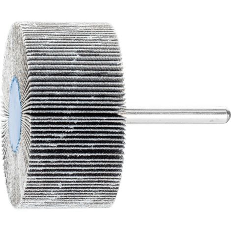 PFERD TOOLS SIC Fächerschleifer F Ø 60x30mm Schaft-Ø 6 mm SIC150 für harte NE Metalle 10 Stk (1/5)