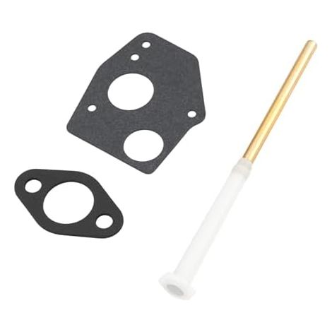 1 Kit de Tube d'aspiration d'essence pour Carburateur Compatible avec Briggs & Stratton 391813 Et 272409S