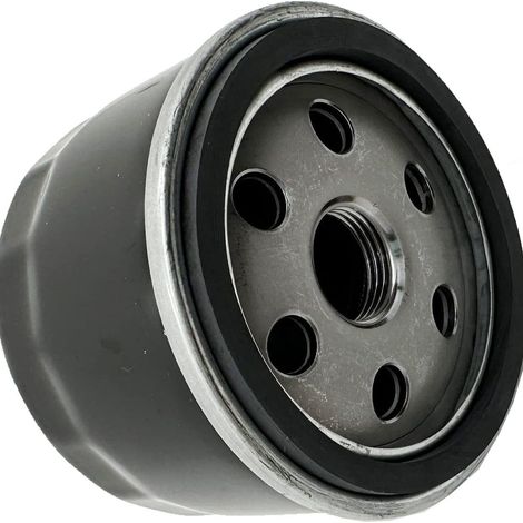 698754 273638 Air filter 691035 Fuel filter 696854 Oil filter Spark plugs (1/4)