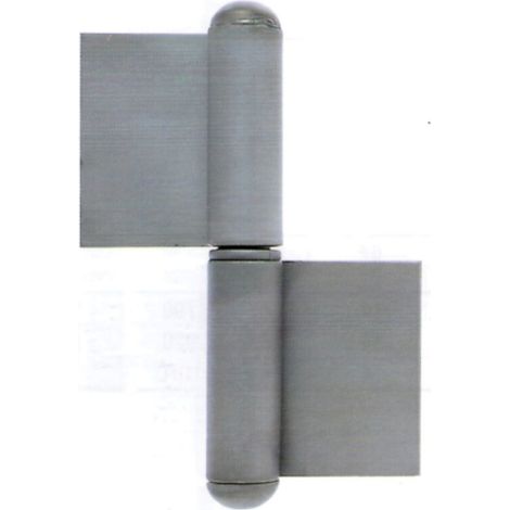 Bandes a' souder pour fenetres 20 pcs acier poli avec rondelle droite charnie'res charnie'res 80 mm