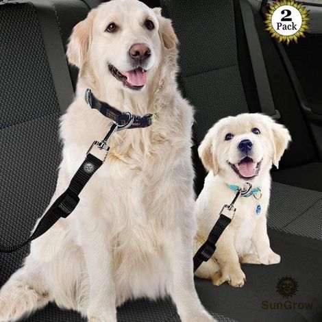 Arnés de seguridad para mascotas, Arnés de nailon ajustable para mascotas, Arnés de viaje para perros, gatos y hurones (1/5)