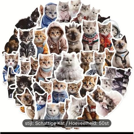 Lot de 50 autocollants chats humoristiques - Pour ordinateur portable, cahier - Stickers déco - Pour enfants et adultes (1/4)