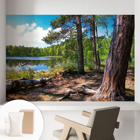 Carta Da Parati - Murale Alla Moda Decorazione - Camera Da Letto - Con Colla Gratuita Paesaggio forestale 104x70 cm (1/5)