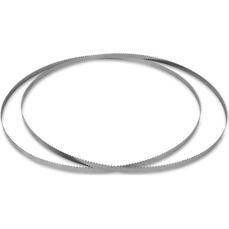 Lot 2 lames rechange scie à os électrique 1650mm inox – VERTES (1/3)