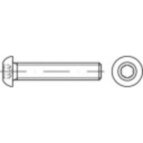 [NEUWERTIG] B-Ware Toolcraft Linsenschraube M4 10mm Edelstahl A2 500 Stück Innensechskant Schrauben