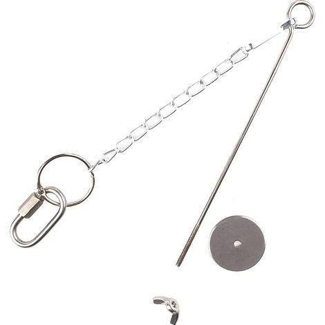 Jouet pour poule, robuste, accessoires pour animaux de compagnie, jouet (1/5)