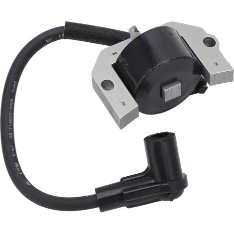 Bobine d'allumage métallique de rechange pour moteur Zoternen (21171-7001, 21171-7034, FH381V, FH430V)