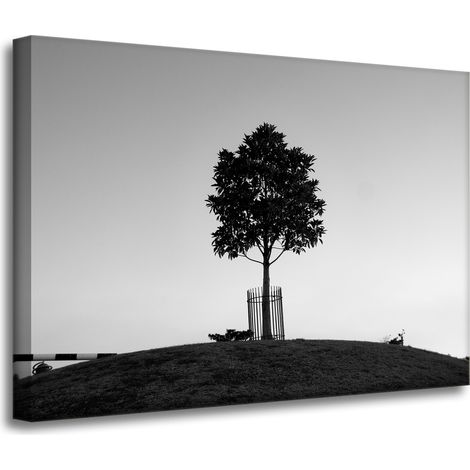 Leinwanddruck Natur Baum Schwarz-Weiß 70x50