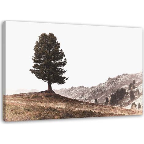 Tableau sur toile Arbre Montagne Nature 60x40 (1/5)