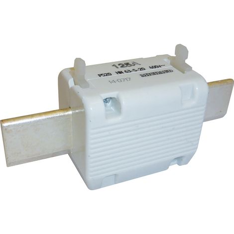 Cartouche fusible Taille 2 entraxe 115mm 125A MICHAUD P520