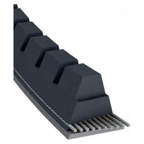 Courroie tondeuse XPZ1250 trapézoïdale crantée  9,7 x 1262 mm