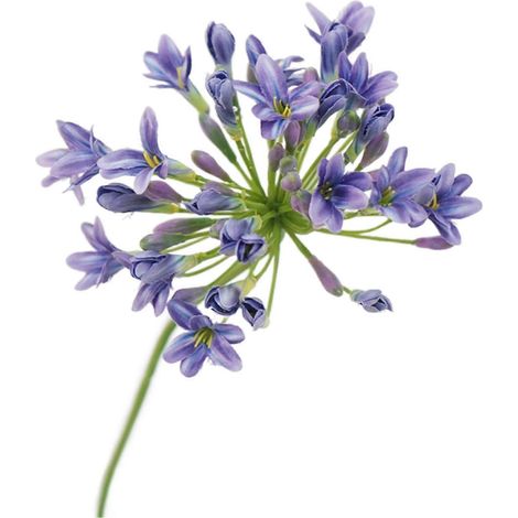Fleur artificielle d'agapanthe, fraîche et durable, sans arrosage, facile à transporter, résistante aux UV, pour la décoration intérieure.-AquaForge (1/4)