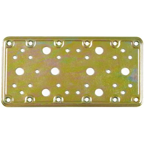 PLACA 503-200X100 ACERO BICROMATADO (S) - AMIG