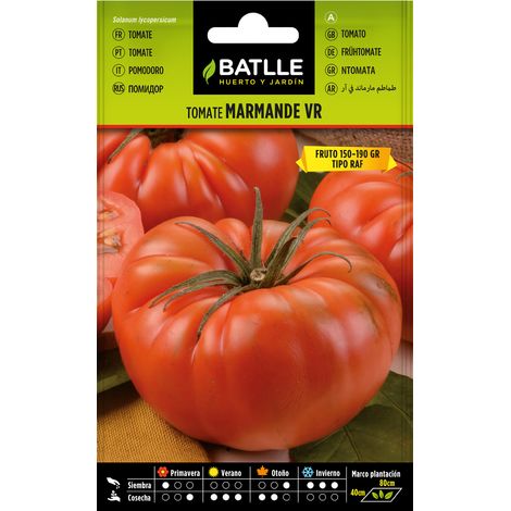 Batlle Semillas de Tomate Marmade VR Holanda - 3 Bolsitas