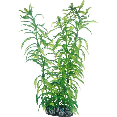 Hobby Heteranthera, Plante d'aquarium artificielle pour la décoration - 25 cm (1/2)
