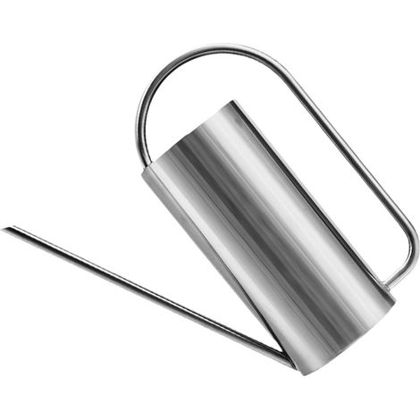 Arrosoir pour Plantes d'Intérieur Long Bec en Métal Inoxydable, Capacité 1,5 litres, Conçu pour Arrosage Confortable des Jardinières et Petits Pots (1/5)