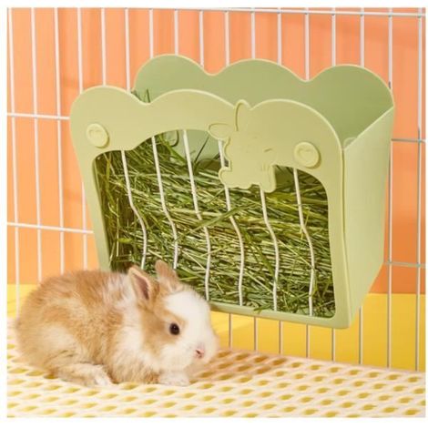 Mangeoire Lapin, Râtelier à Foin Suspendu pour Petits Animaux Lapins, Lapins Nains, Cochons d'Inde (Vert)