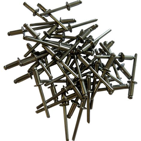 Sachet de 250 rivets inox a2 (aisi304) standards de 4.8 x 12