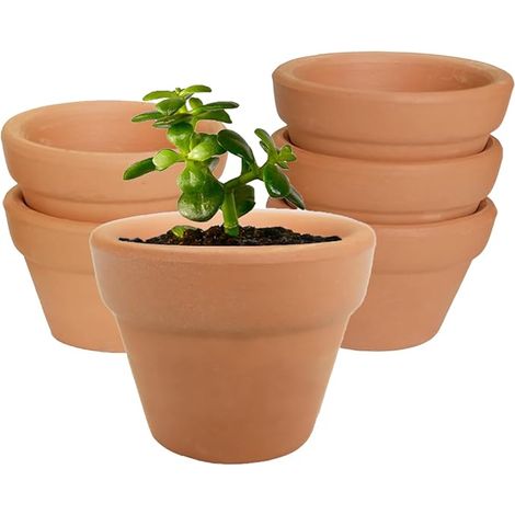 Terracotta Succulent Cactus Pots Outdoor Terracotta Flower Pots for Cactus, Flowers, Succulent Plants, for Gardening, DIY, Wedding Gifts (10 x 10 cm) (1/5)