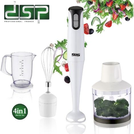 Mixeur Divers à 2 Vitesses Robots De Cuisine à 2 Vitesses Mini Mixeur 300w (1/5)