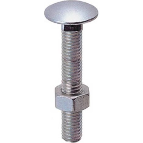 5 x SC BULLONE C/DADO TTDQ  6X 20MM ZINCATO 20 PZ