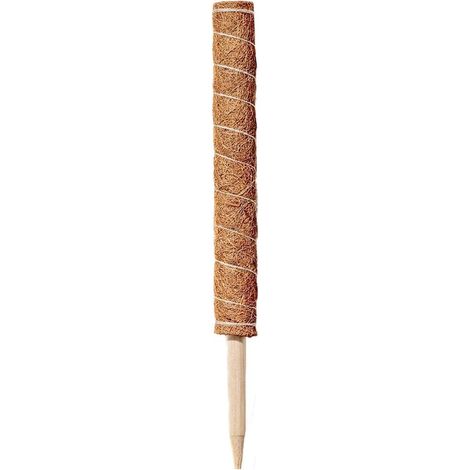 Tuteur en mousse pour plantes grimpantes, empilable, 4,5 x 4,5 x 60 cm, en forme de cocotier. (1/5)