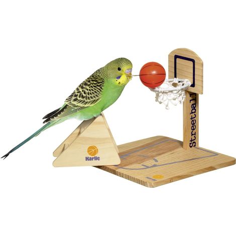 Karlie - Streetball Wellensittich-Spielzeug (1/3)