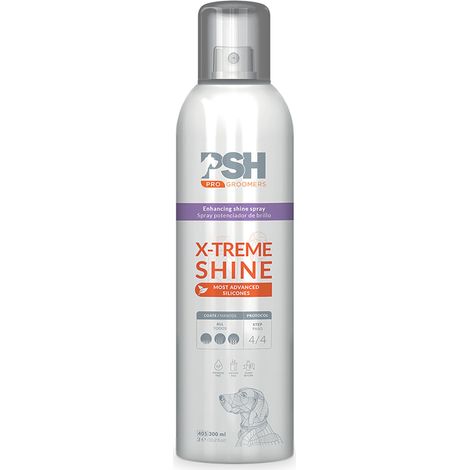 Spray Finition Brillance "X-TREME SHINE" 300 ml