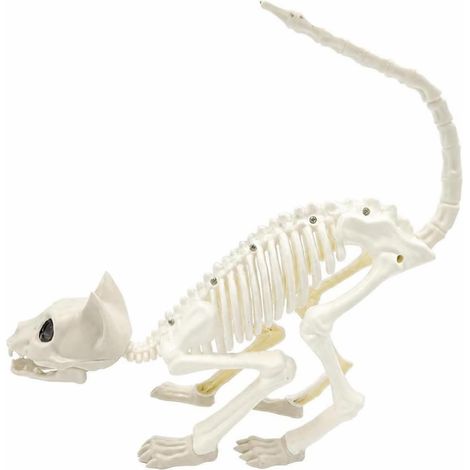 Scary Cat Skeleton  Compact Size, Cat Skeleton Figurine, Versatile, Haunted, Tabletop (1/5)