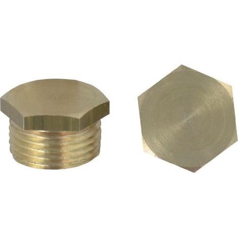 Bouchon mâle Raccords - Filetage 15 x 21mm - Par2 (1/2)