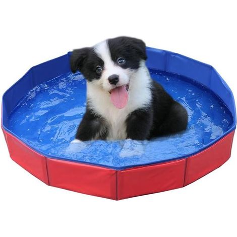 Piscina para perros - Piscina plegable para mascotas - Refrescante para mascotas - Diversión de verano (1/5)
