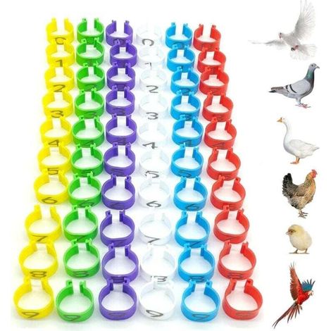 60 Stück Hühner-Identifikationsringe, Vogel-Identifikationsringe, Papageienbeinringe aus Kunststoff, 16 mm Durchmesser, nummeriert, zur Kennzeichnung von Geflügelringen