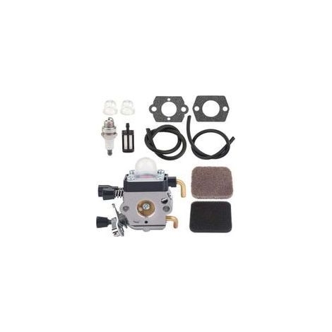 FENOPLASTICACarburateur Briggs & Stratton 499059, 497586, 799869, 792253, 214661 pour tondeuse à gazon (1/4)