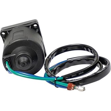 0438786 0439937 5005254 Valid for Evinrude outboard motors and Johnson tilt and lift motors--DTEKGAZ (1/3)