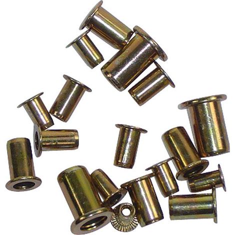 Set 100 Écrous Blindés Acier M3 M4 M5 M6 - 25 Pièces/Taille, Longueurs 9-14mm (1/2)