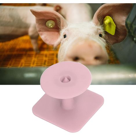 100 Stück/Verkäufer von einfachen Schweineohrmarken, quadratischen Schweineohrmarken, tierärztlichen Schweineohrmarken, rosa (1/5)