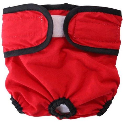 Culottes réutilisables pour chiennes, taille XS.