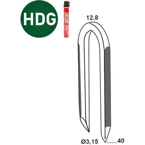 3 000 Crampillons Galvanisées à Chaud (Hdg) - 12.8x40x3.15 mm + 3 Cartouches de Gaz - D-Work