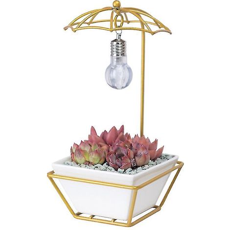 Der neue 1-teilige Blumentopf für Zuhause