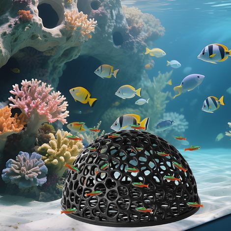 Grotte pour Aquarium, 10x5 Cm Grotte À Crevettes, Cachette pour Betta en Aquarium, Cachette Creuse, Abri Crevettes, Convient pour Les Tortues, Les Betta, LesAquariums d'eau Salée Et d'eau (1/5)