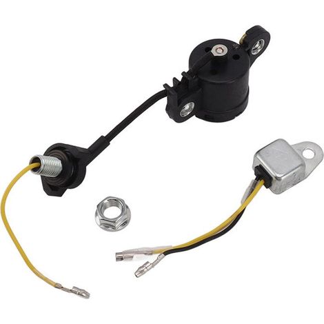 BelleRise - Capteur niveau huile – GX120 GX160 GX200 GX240 GX270 – Interrupteur d’alerte – pour tondeuse et tronçonneuse (1/5)