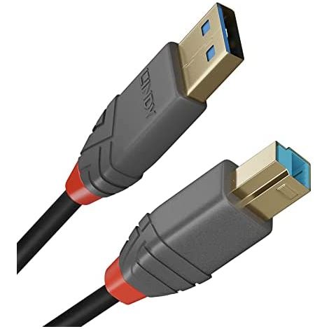 Cable USB A a USB B LINDY 36740 50 cm Negro (1/5)