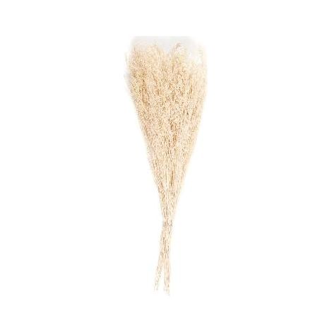 ANDREA HOUSE AX21026 Ramo Flor Seca Natural Statice 100 Gr. - ref: AX21026