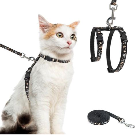 Harnais pour Chat avec Laisse – Harnais réglable Anti-Fugue Qui Brille dans Le Noir pour Promenade en Plein air