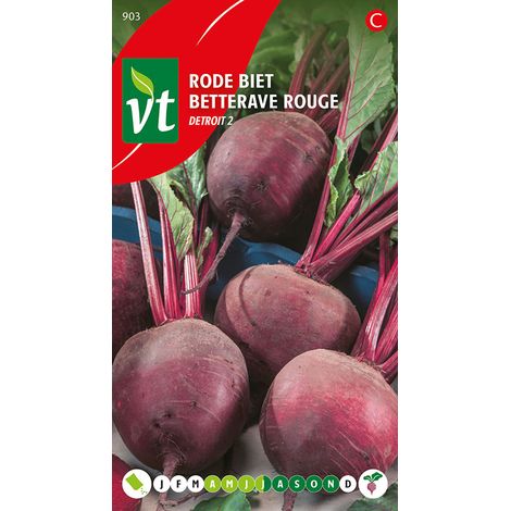 Betterave Rouge Detroit - Ca. 5 gr (Livraison Gratuite)