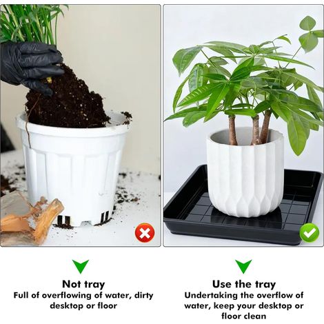 Lot de 8 soucoupes carrées pour pot de fleurs : 30 x 30 cm en plastique robuste, bacs de récupération carrés pour jardinières et fleurs